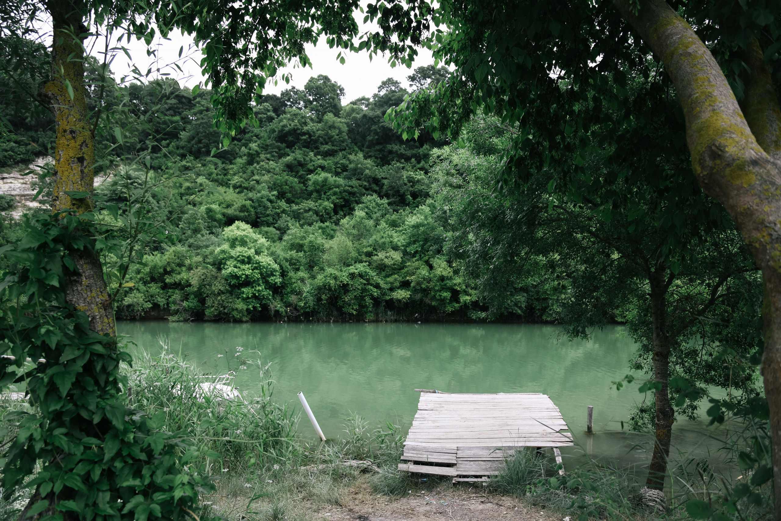 Edenshealth