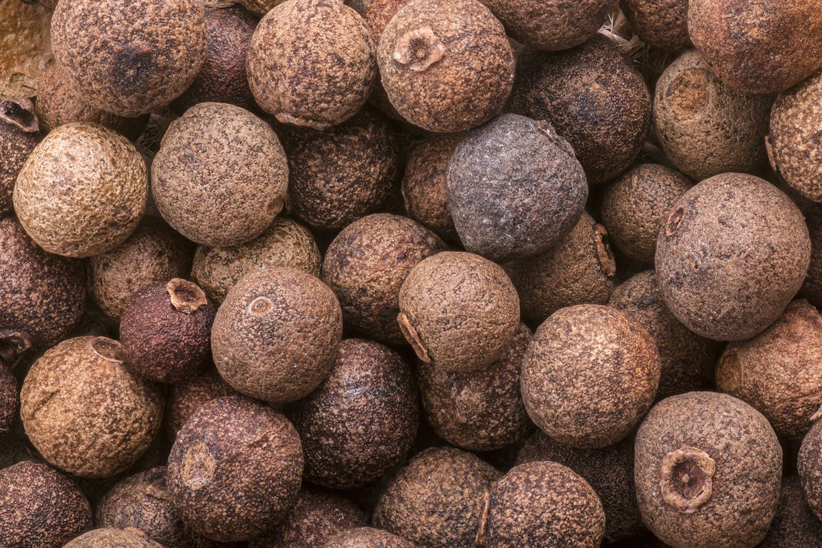 Piment Beeren Nahaufnahme