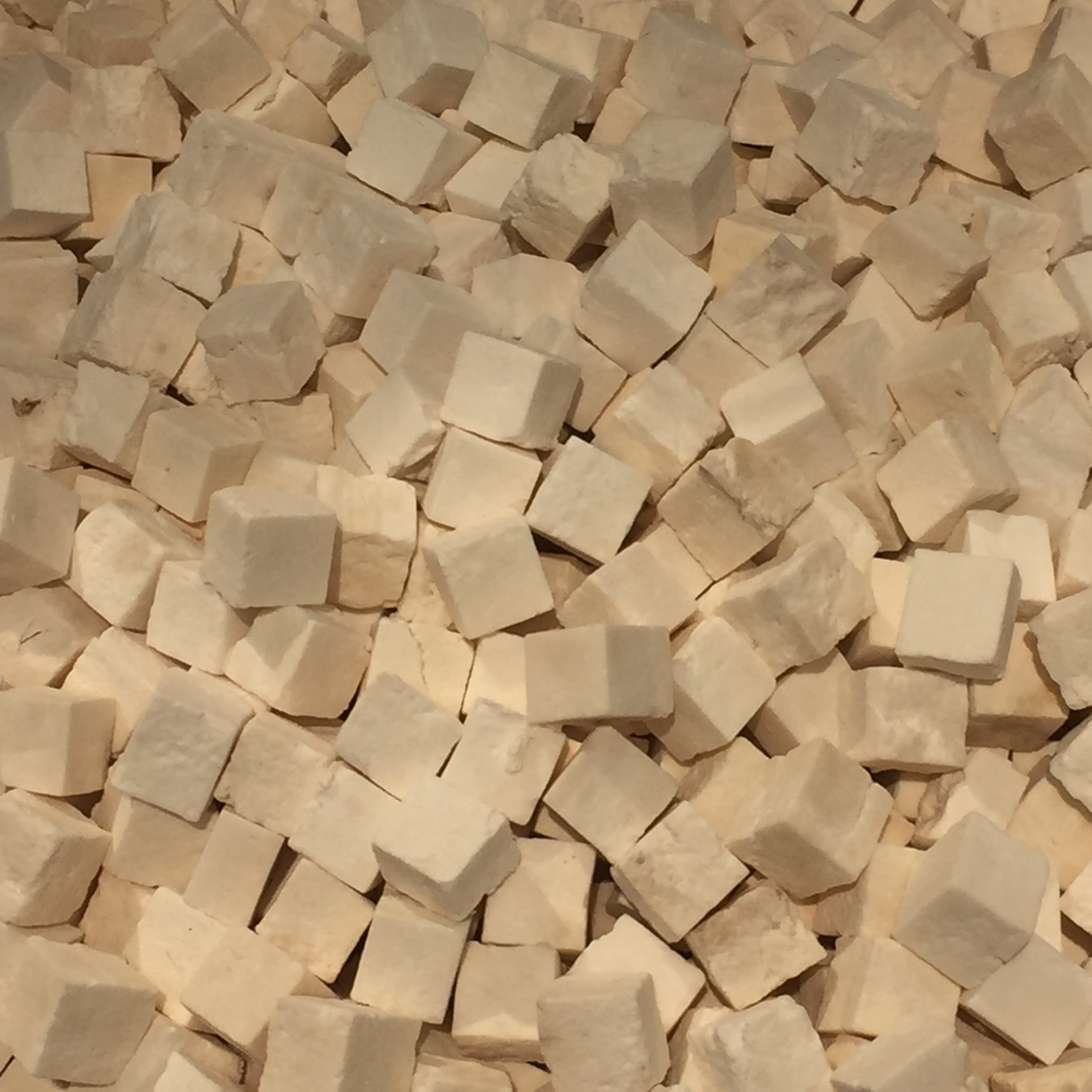 Poria cocos