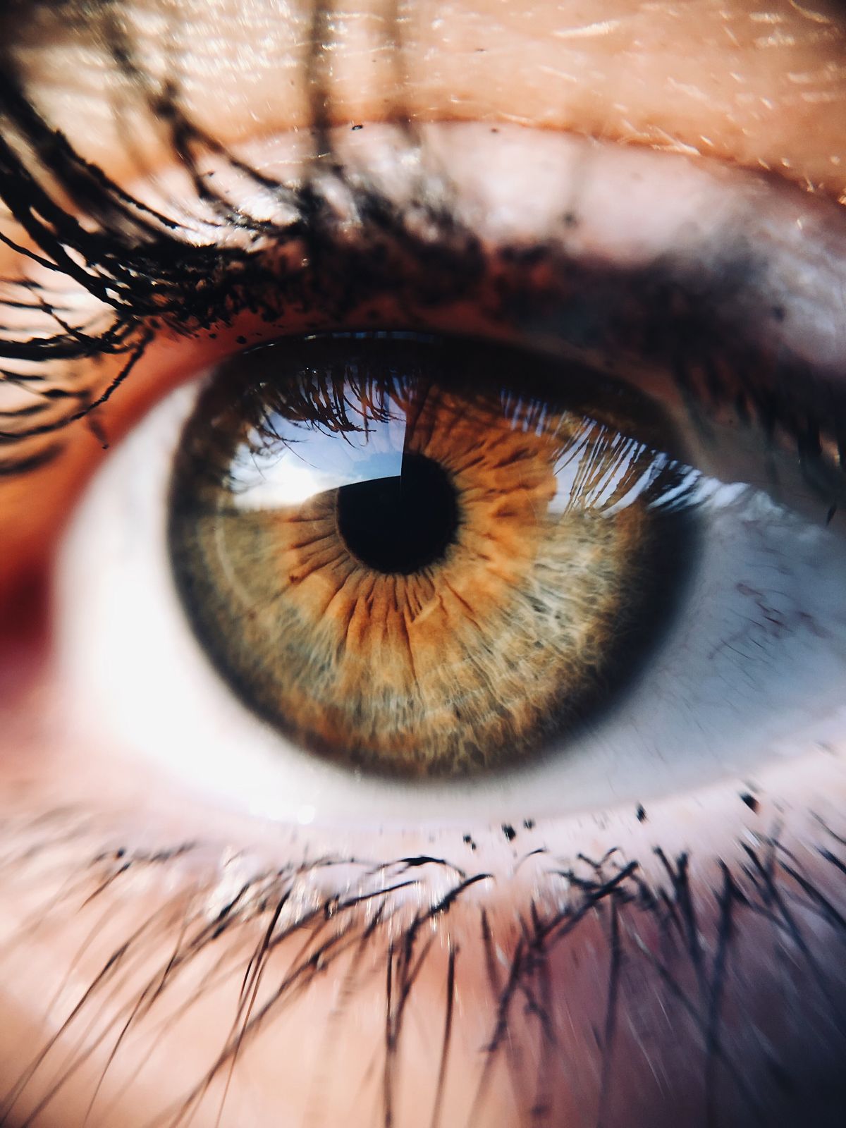 Menschliches Auge Nahaufnahme